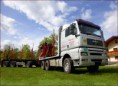 /album/quinto-varios/h-264-camion-man-jpg/